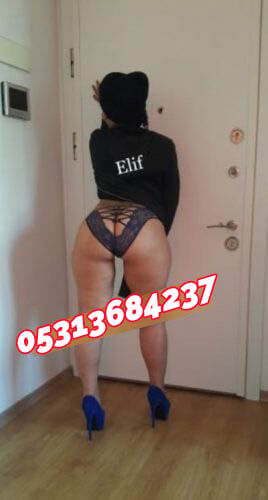 Pendik Balık Etli Escort Bayan Elif - Image 4